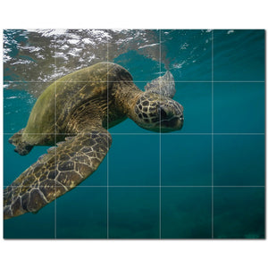 turtle ceramic tile wall mural kitchen backsplash bathroom shower p501080