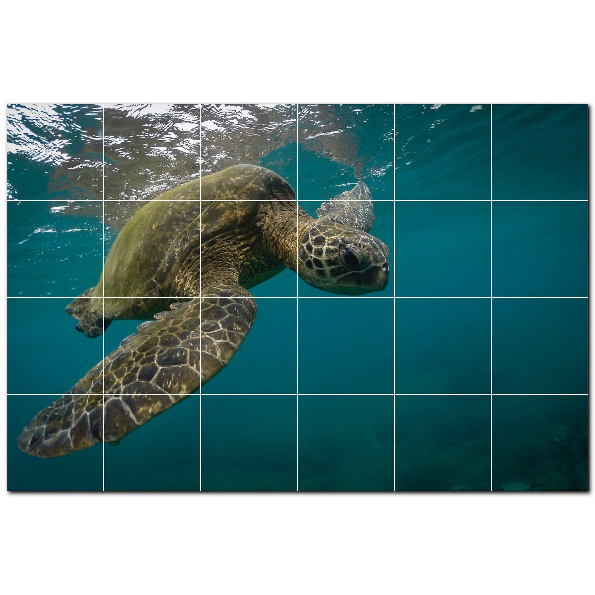 turtle ceramic tile wall mural kitchen backsplash bathroom shower p501080