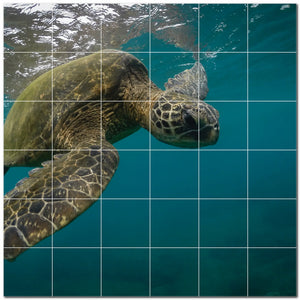 turtle ceramic tile wall mural kitchen backsplash bathroom shower p501080