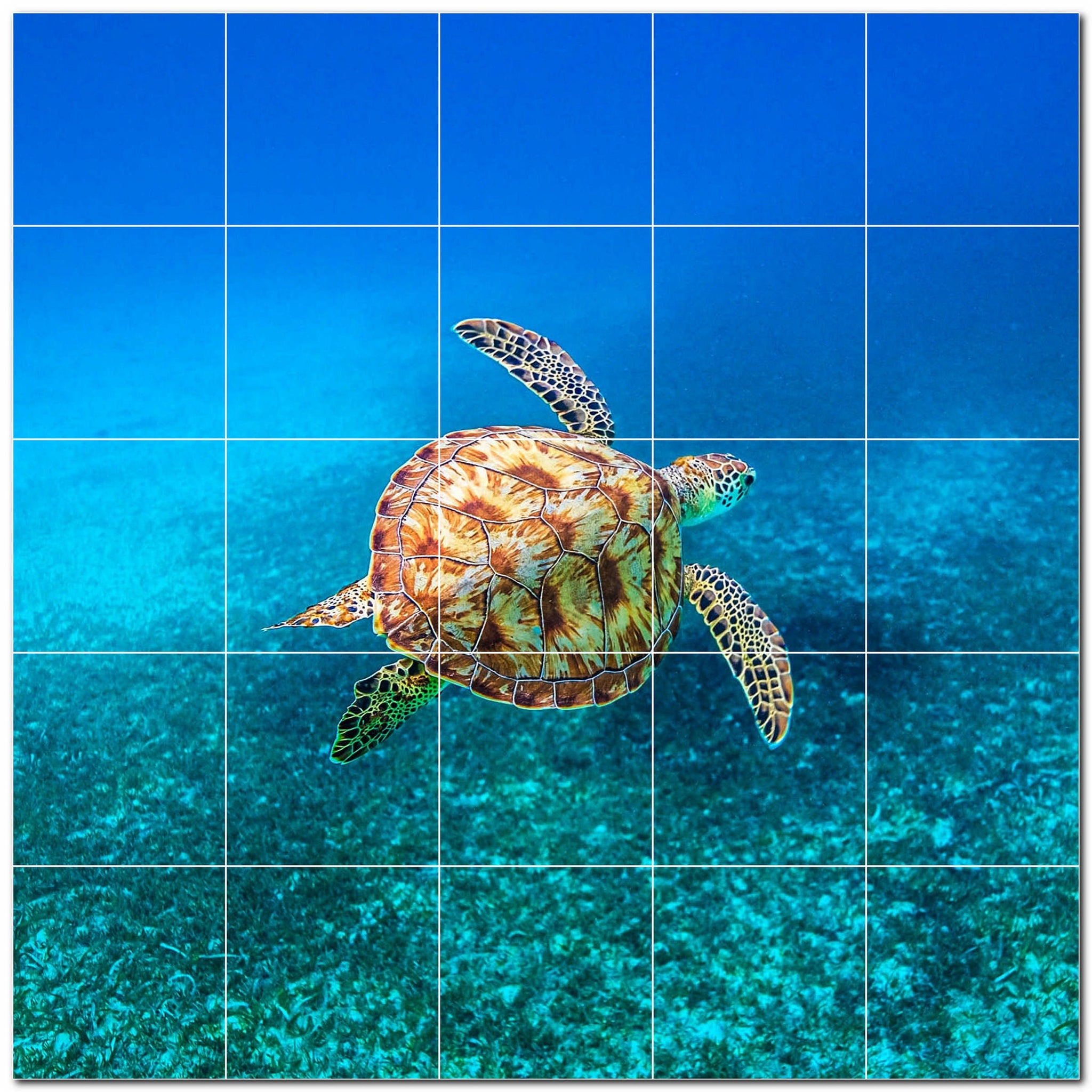 turtle ceramic tile wall mural kitchen backsplash bathroom shower p501081