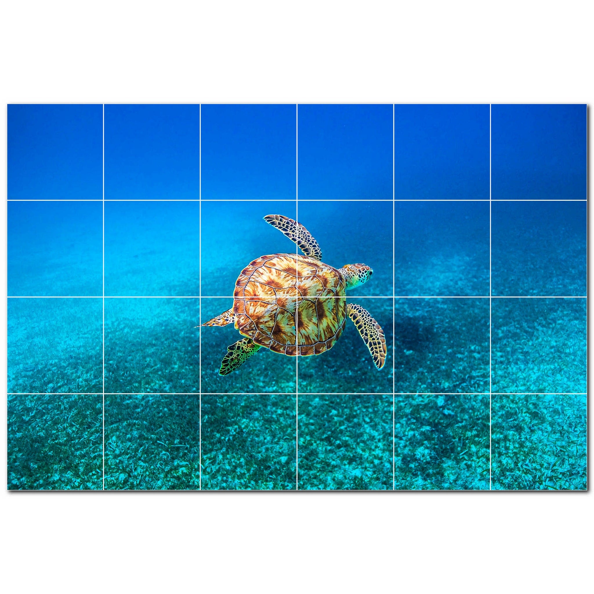 turtle ceramic tile wall mural kitchen backsplash bathroom shower p501081