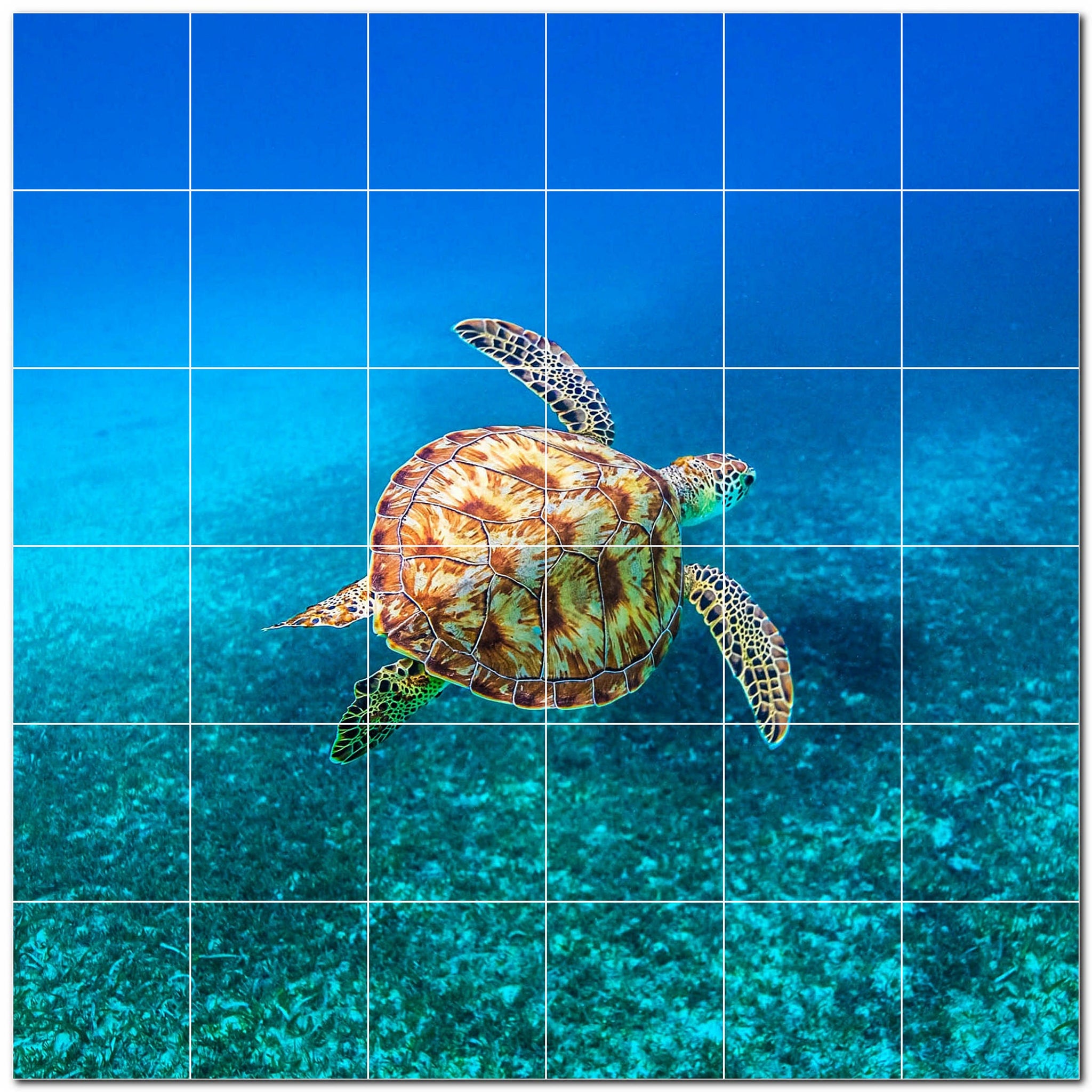 turtle ceramic tile wall mural kitchen backsplash bathroom shower p501081