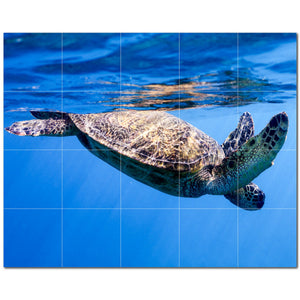 turtle ceramic tile wall mural kitchen backsplash bathroom shower p501082