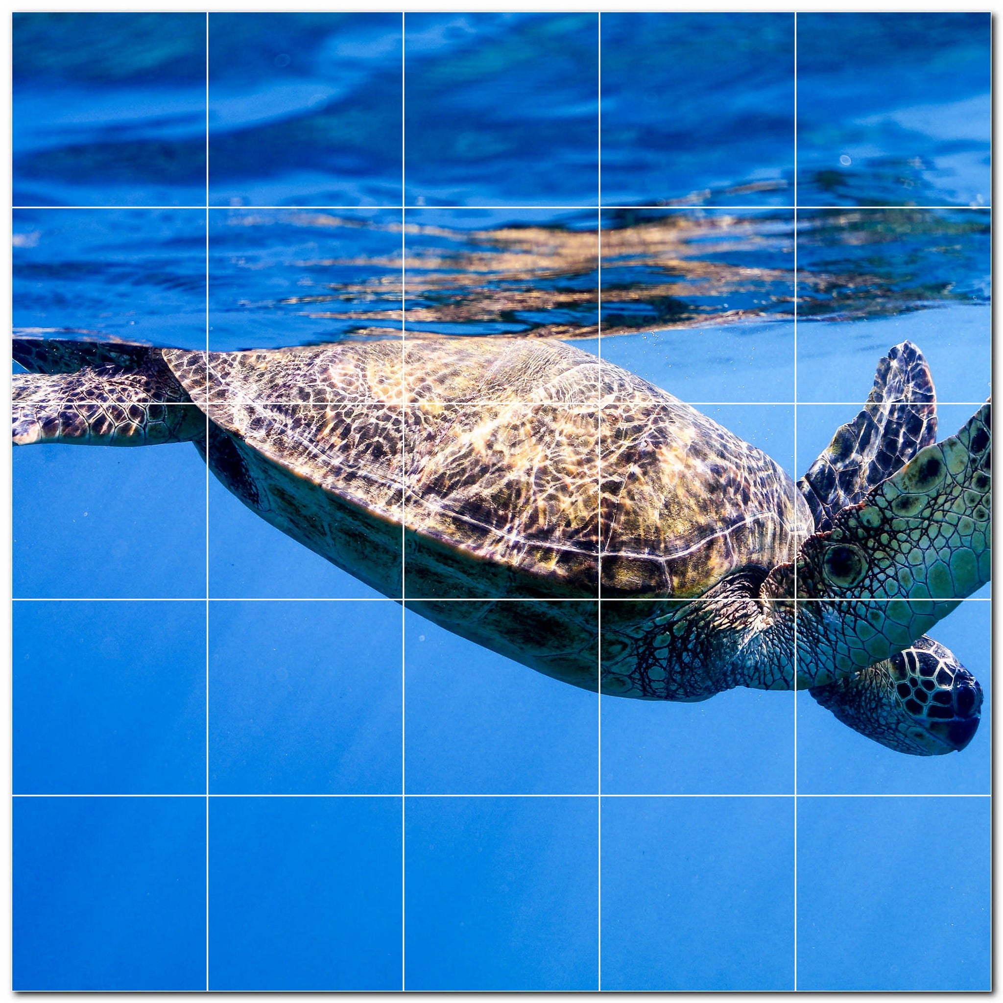 turtle ceramic tile wall mural kitchen backsplash bathroom shower p501082