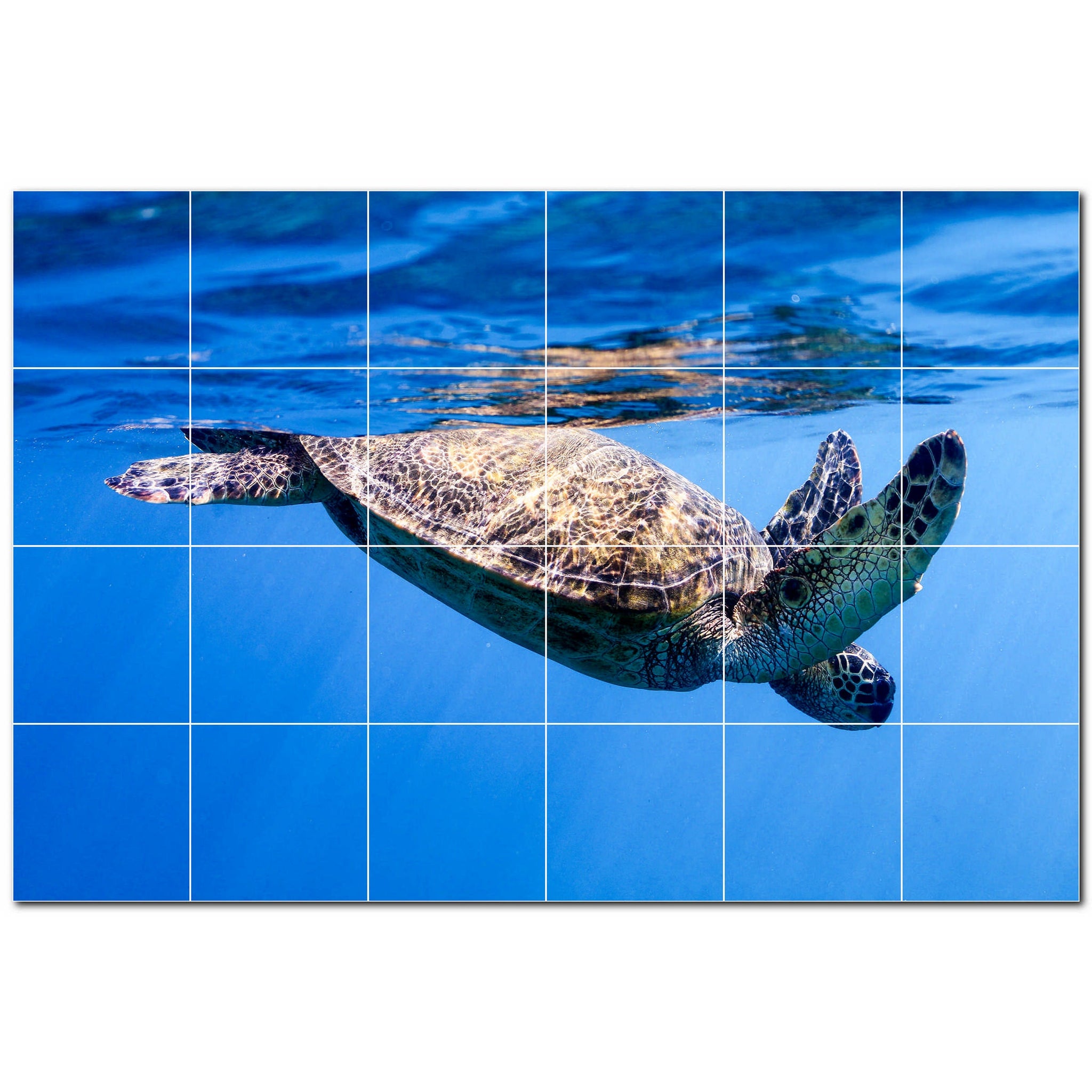 turtle ceramic tile wall mural kitchen backsplash bathroom shower p501082