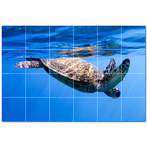 turtle ceramic tile wall mural kitchen backsplash bathroom shower p501082