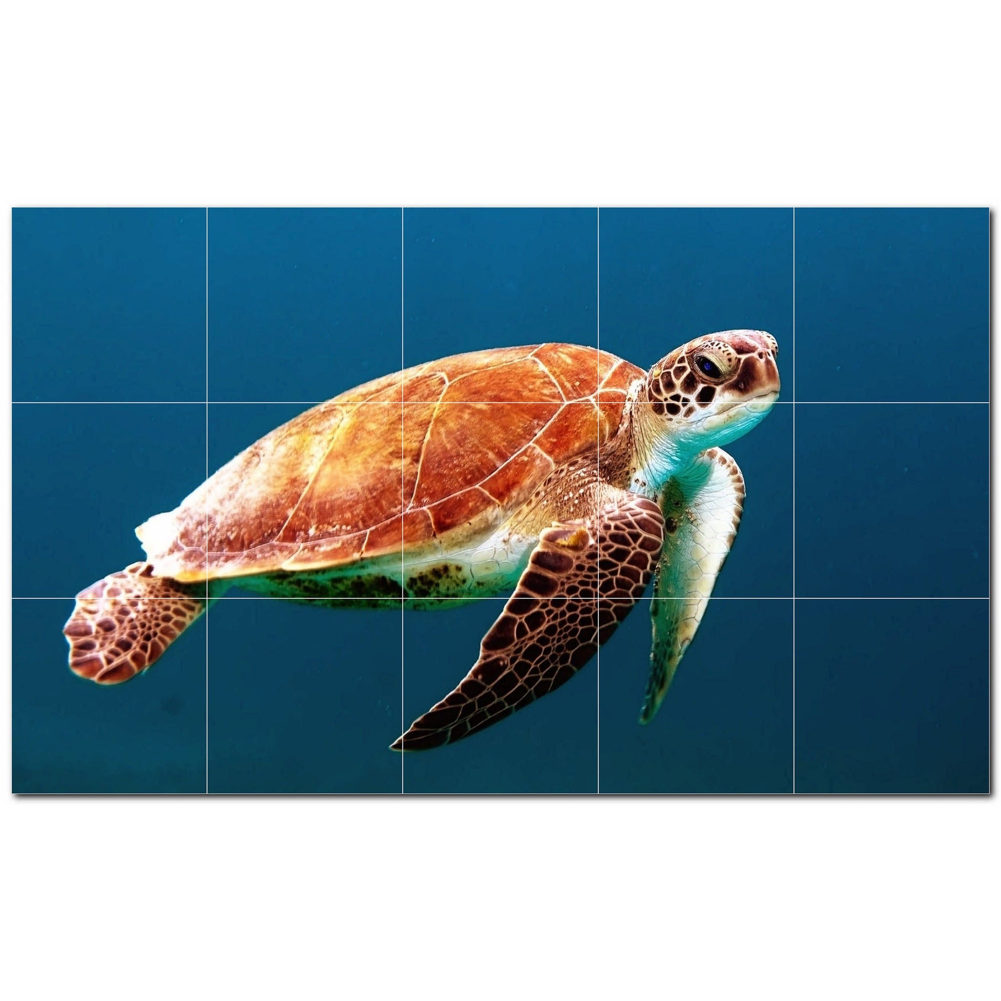 turtle ceramic tile wall mural kitchen backsplash bathroom shower p501083