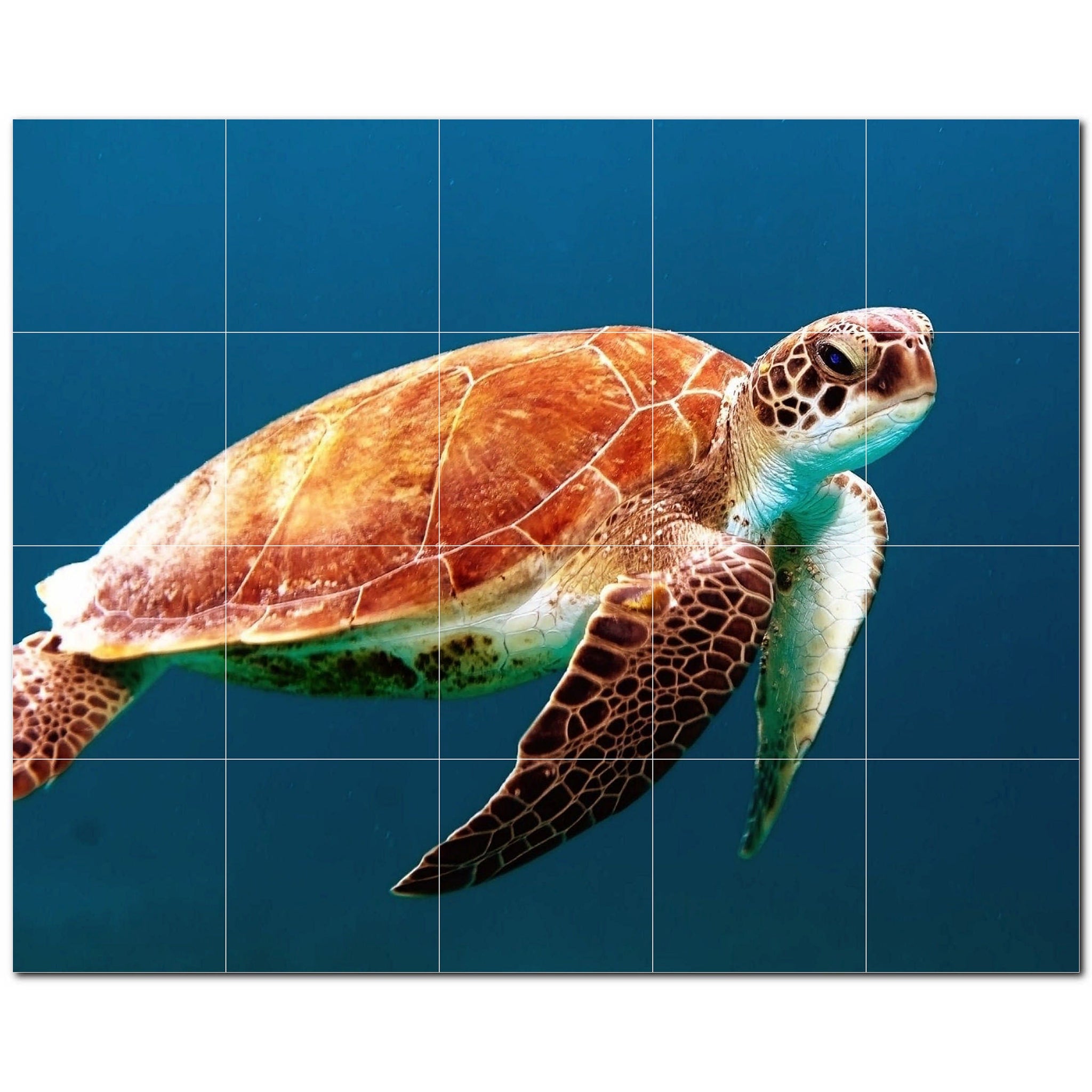 turtle ceramic tile wall mural kitchen backsplash bathroom shower p501083