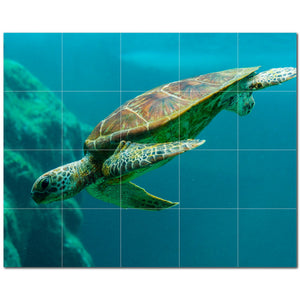 turtle ceramic tile wall mural kitchen backsplash bathroom shower p501084