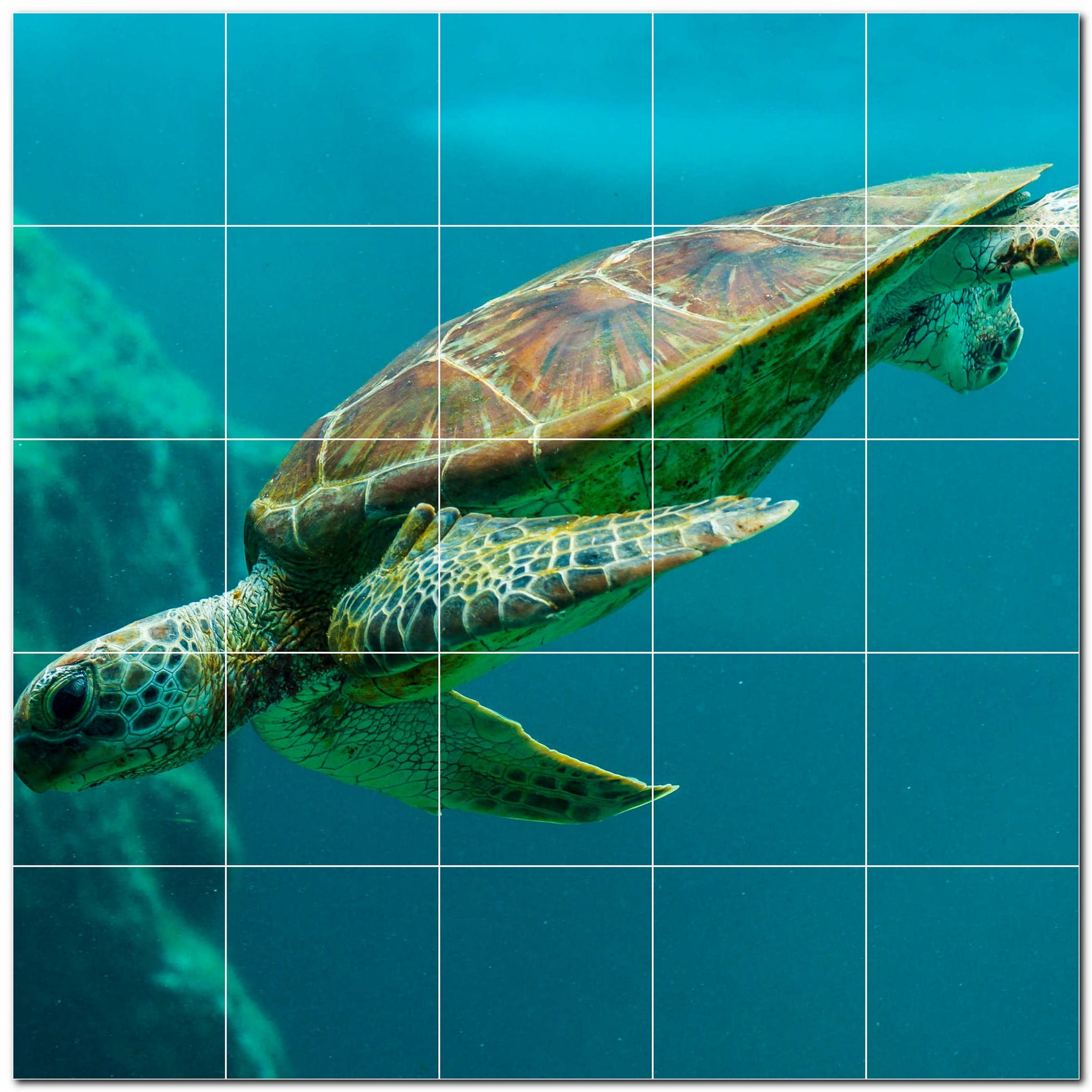 turtle ceramic tile wall mural kitchen backsplash bathroom shower p501084