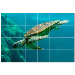 turtle ceramic tile wall mural kitchen backsplash bathroom shower p501084