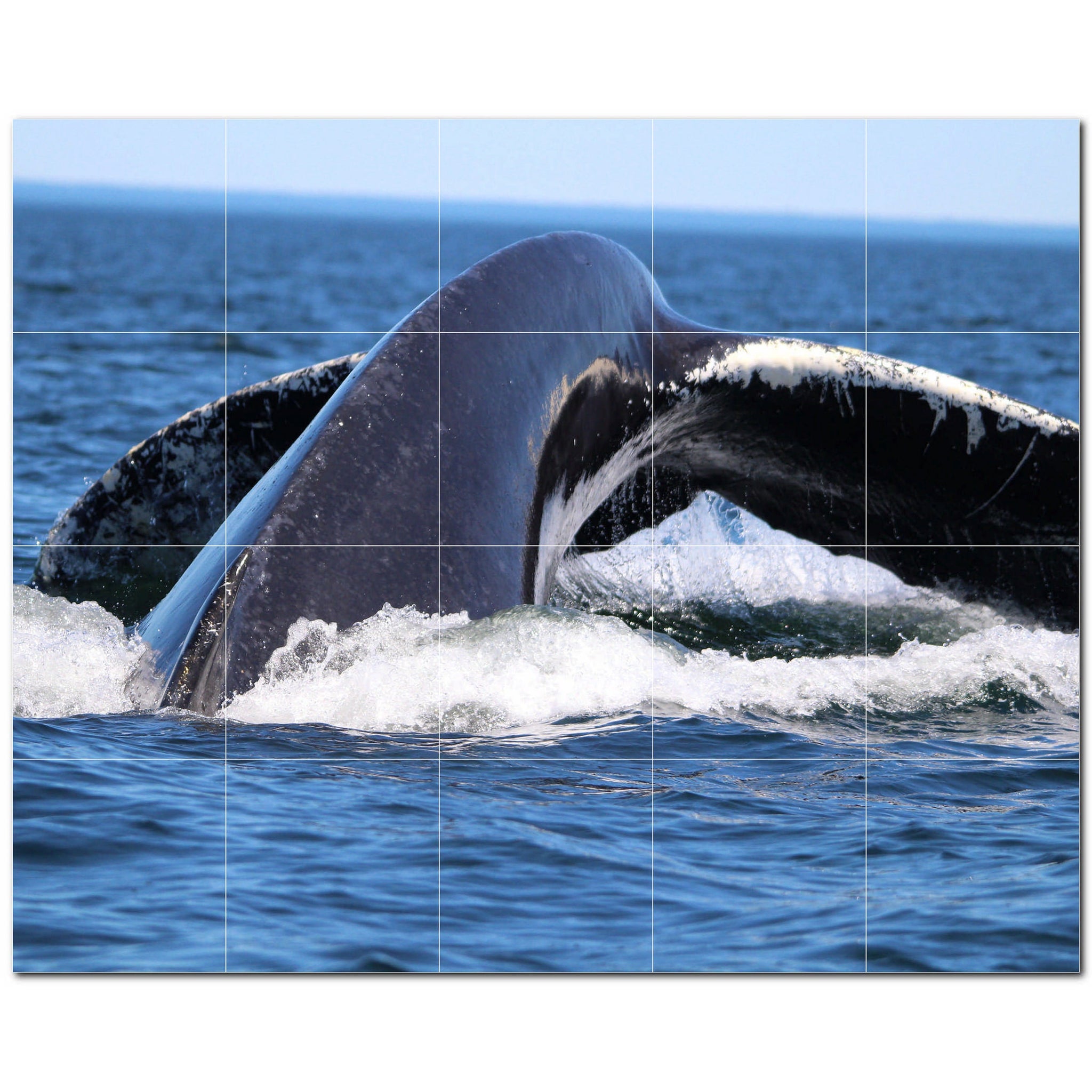 whale ceramic tile wall mural kitchen backsplash bathroom shower p501184