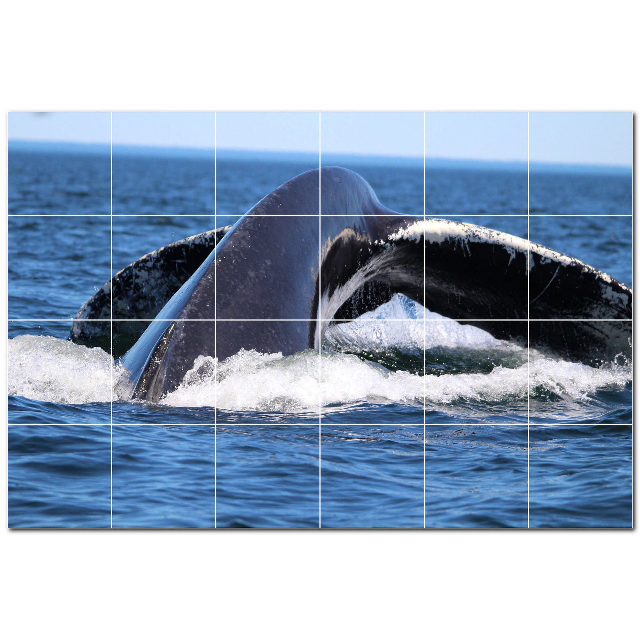 whale ceramic tile wall mural kitchen backsplash bathroom shower p501184