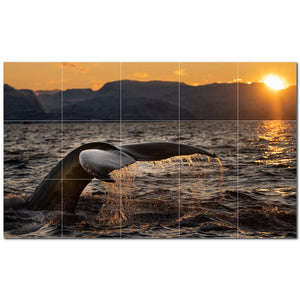 whale ceramic tile wall mural kitchen backsplash bathroom shower p501185