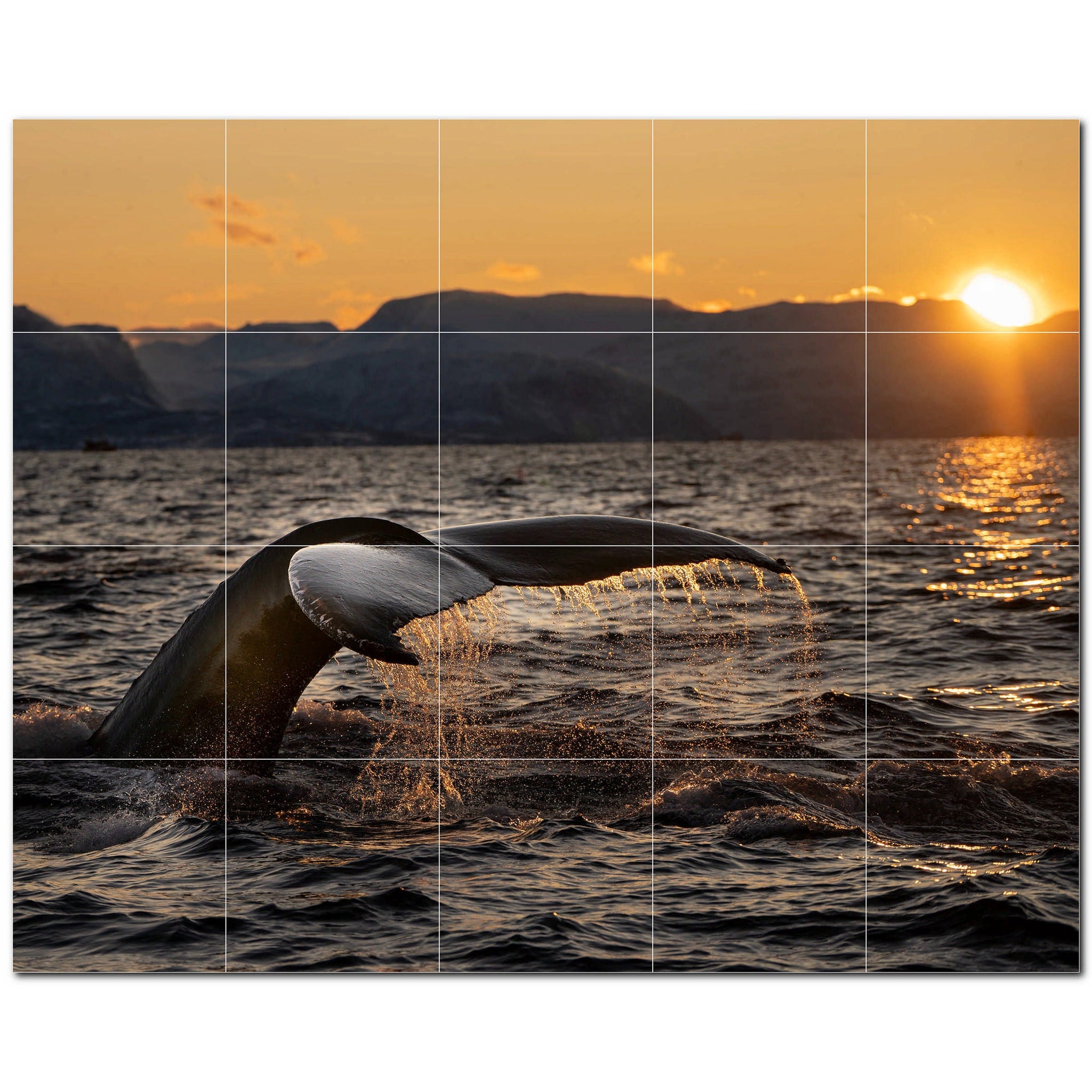 whale ceramic tile wall mural kitchen backsplash bathroom shower p501185