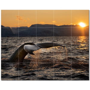 whale ceramic tile wall mural kitchen backsplash bathroom shower p501185