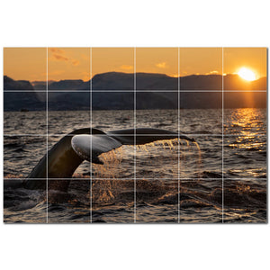 whale ceramic tile wall mural kitchen backsplash bathroom shower p501185