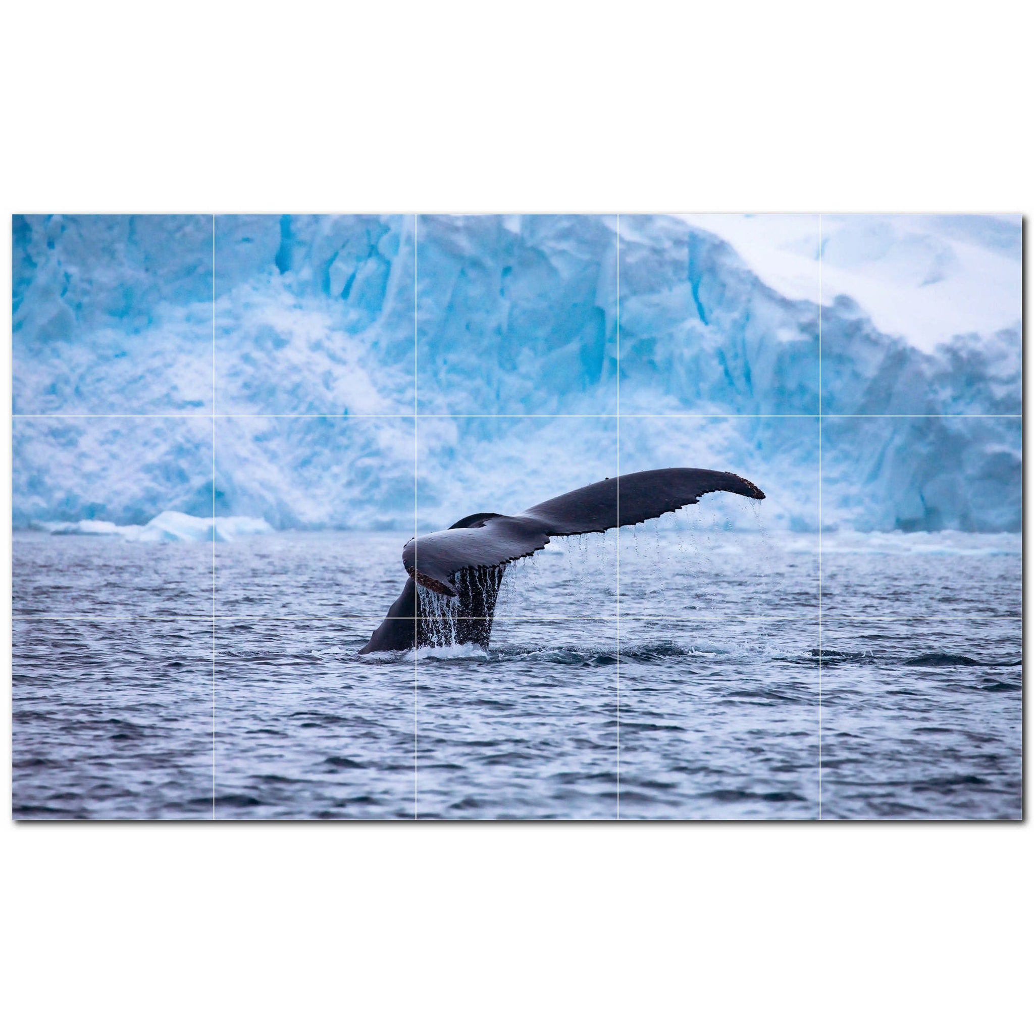 whale ceramic tile wall mural kitchen backsplash bathroom shower p501187