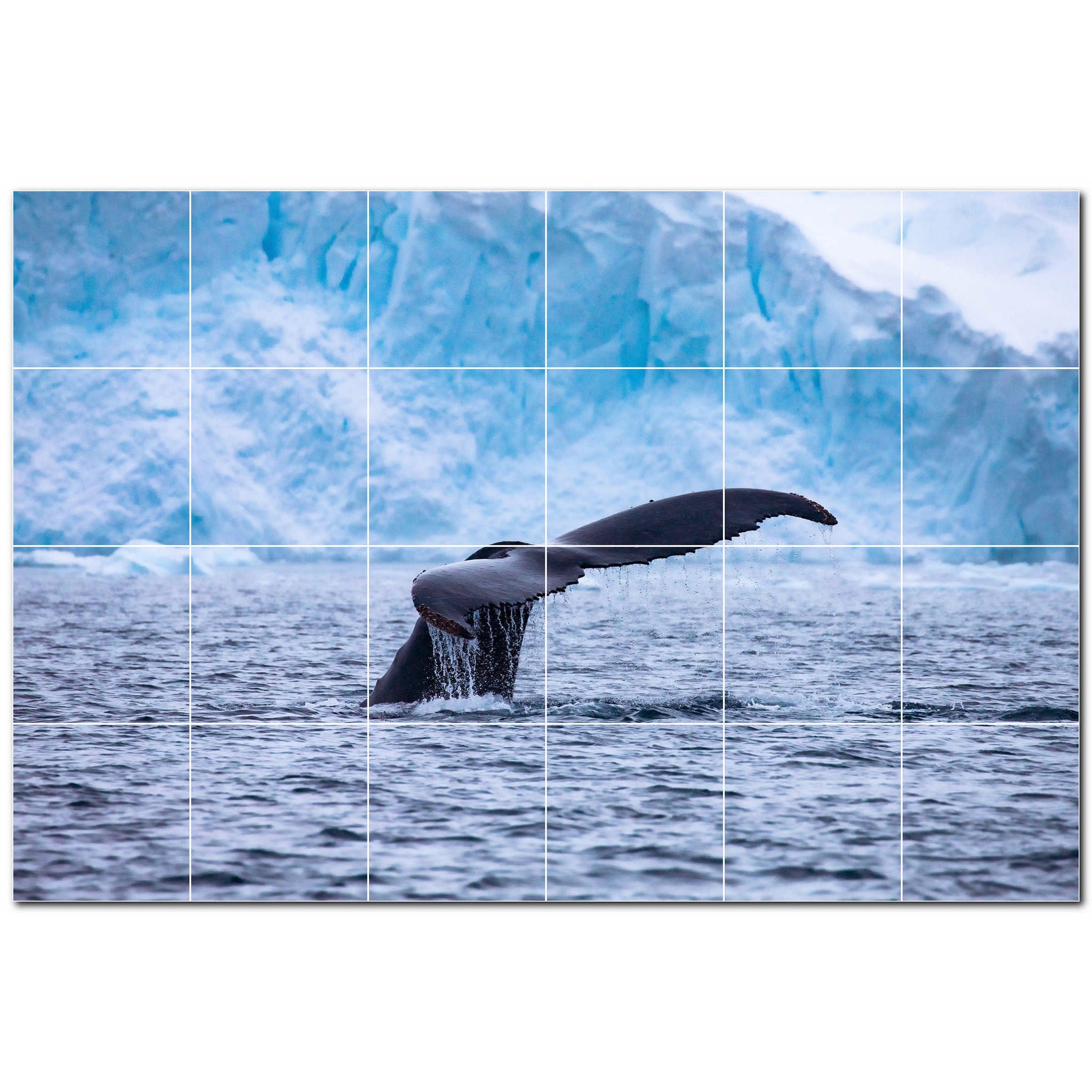 whale ceramic tile wall mural kitchen backsplash bathroom shower p501187