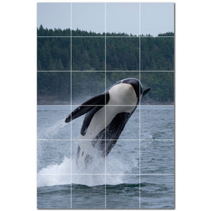 whale ceramic tile wall mural kitchen backsplash bathroom shower p501189