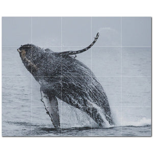 whale ceramic tile wall mural kitchen backsplash bathroom shower p501190