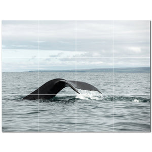 whale ceramic tile wall mural kitchen backsplash bathroom shower p501191