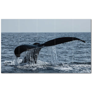 whale ceramic tile wall mural kitchen backsplash bathroom shower p501193