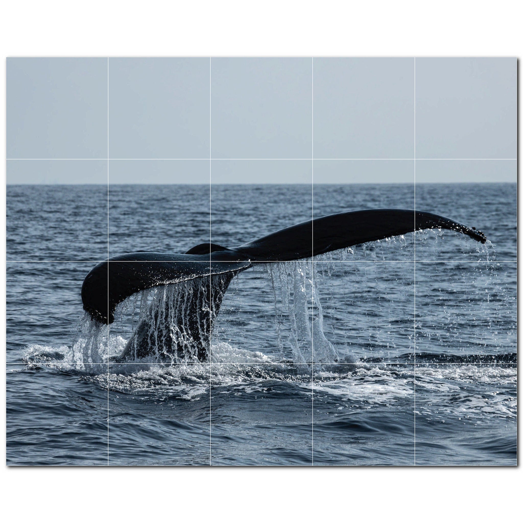 whale ceramic tile wall mural kitchen backsplash bathroom shower p501193