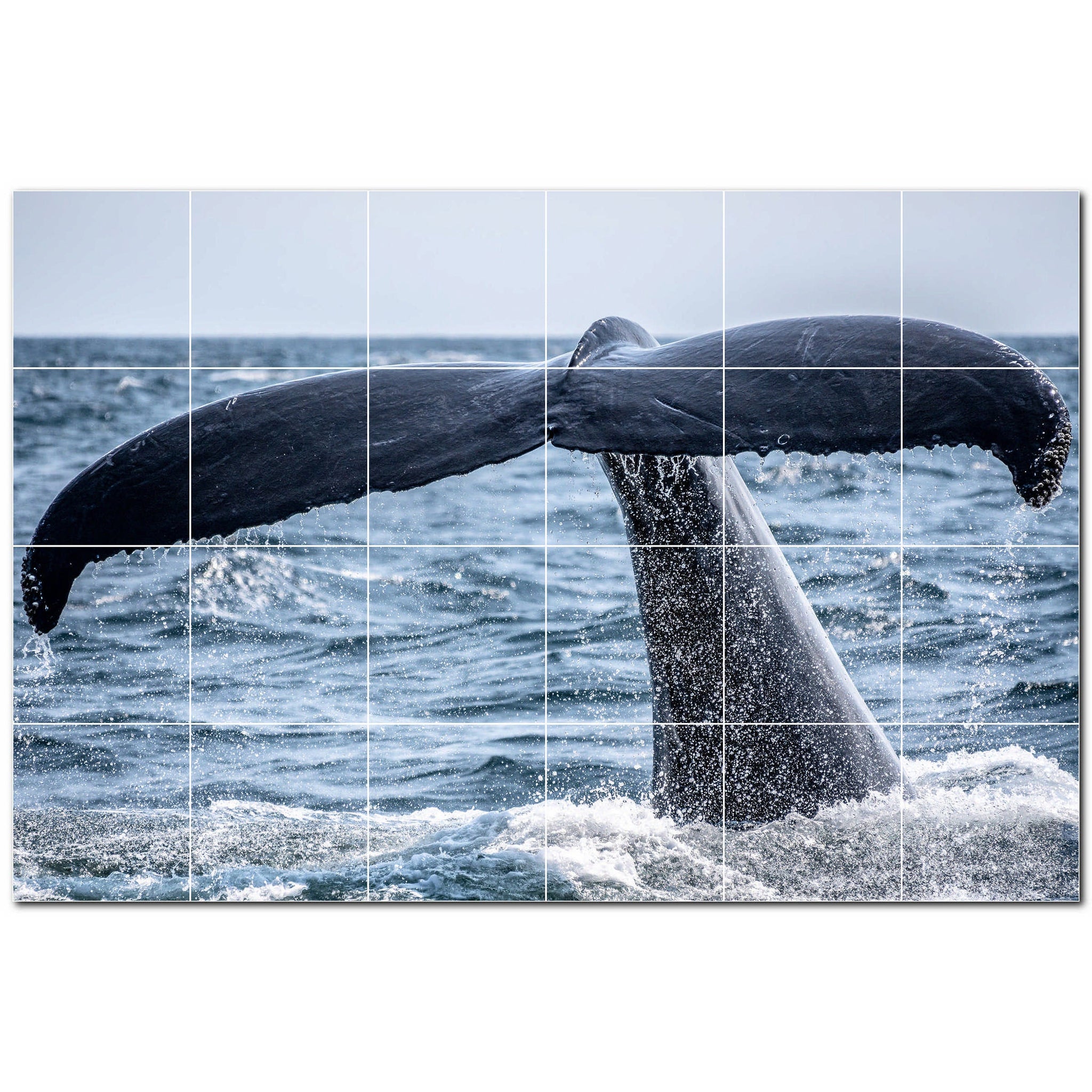 whale ceramic tile wall mural kitchen backsplash bathroom shower p501198