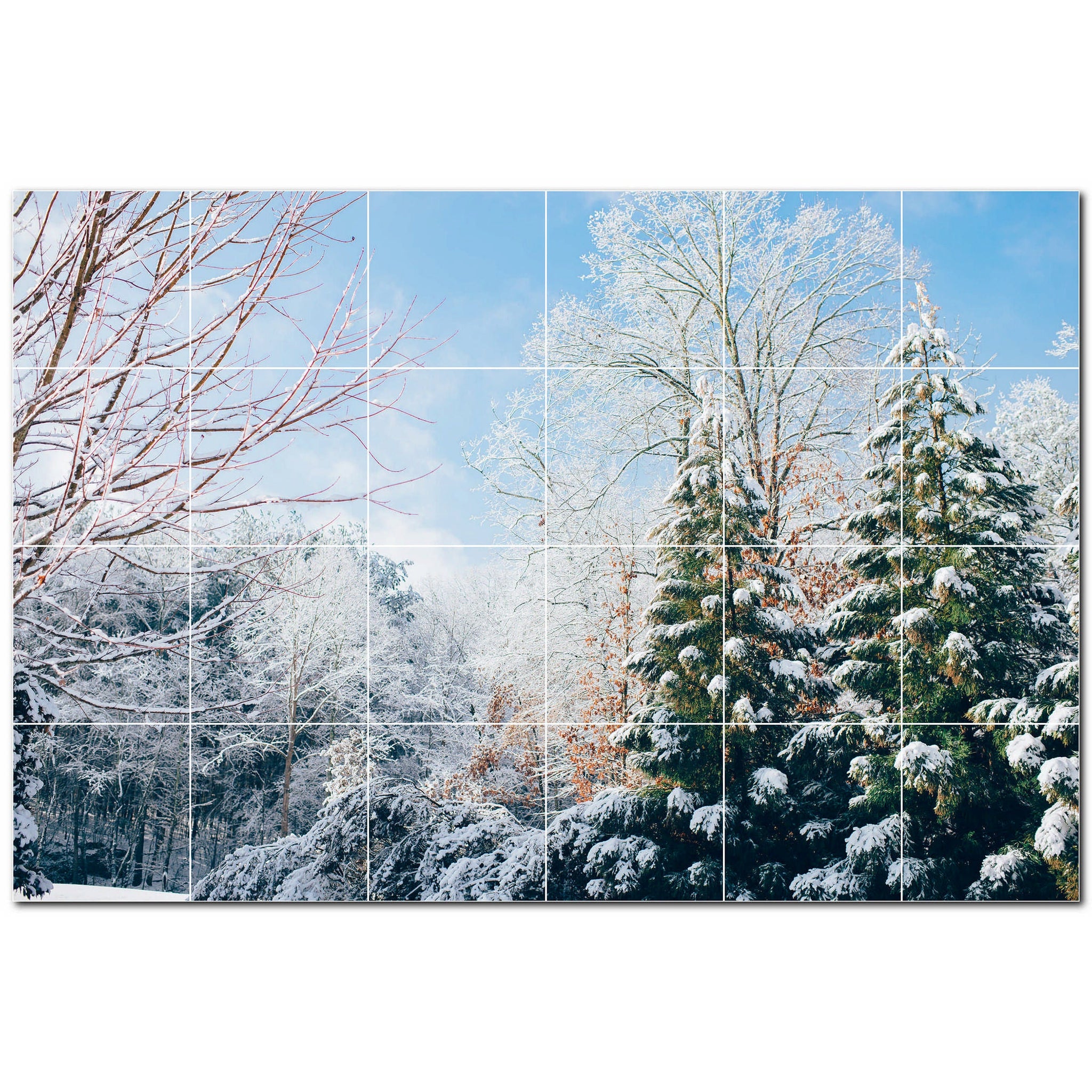 Winter Ceramic Tile Wall Mural Kitchen Backsplash Bathroom Shower P501219