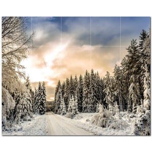 Winter Ceramic Tile Wall Mural Kitchen Backsplash Bathroom Shower P501226