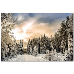 Winter Ceramic Tile Wall Mural Kitchen Backsplash Bathroom Shower P501226