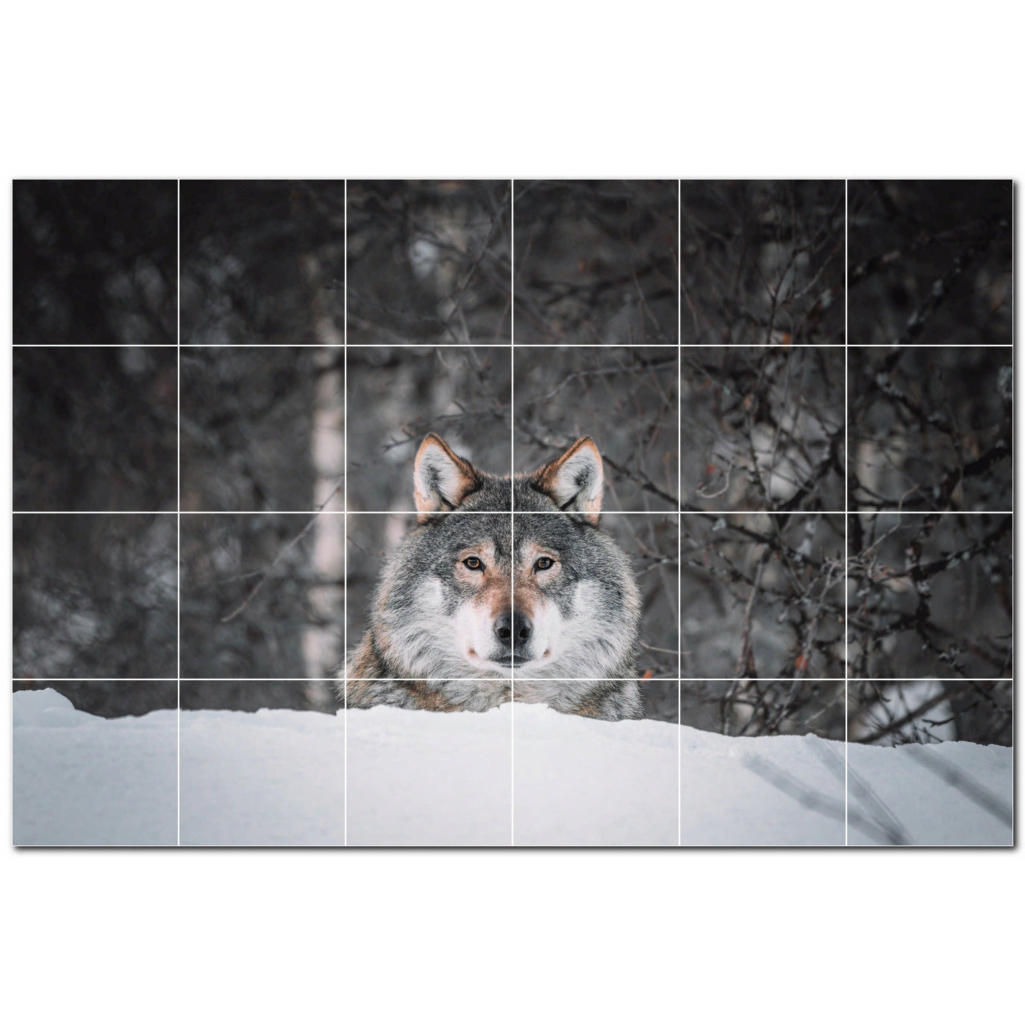 Wolf Ceramic Tile Wall Mural Kitchen Backsplash Bathroom Shower P501232