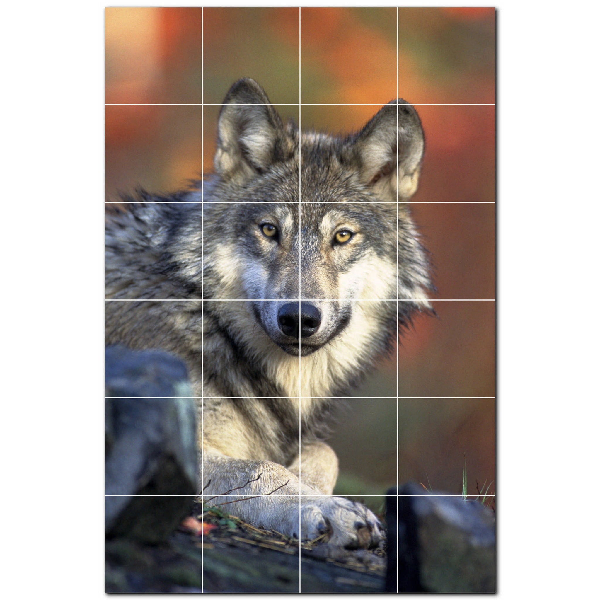 Wolf Ceramic Tile Wall Mural Kitchen Backsplash Bathroom Shower P501239