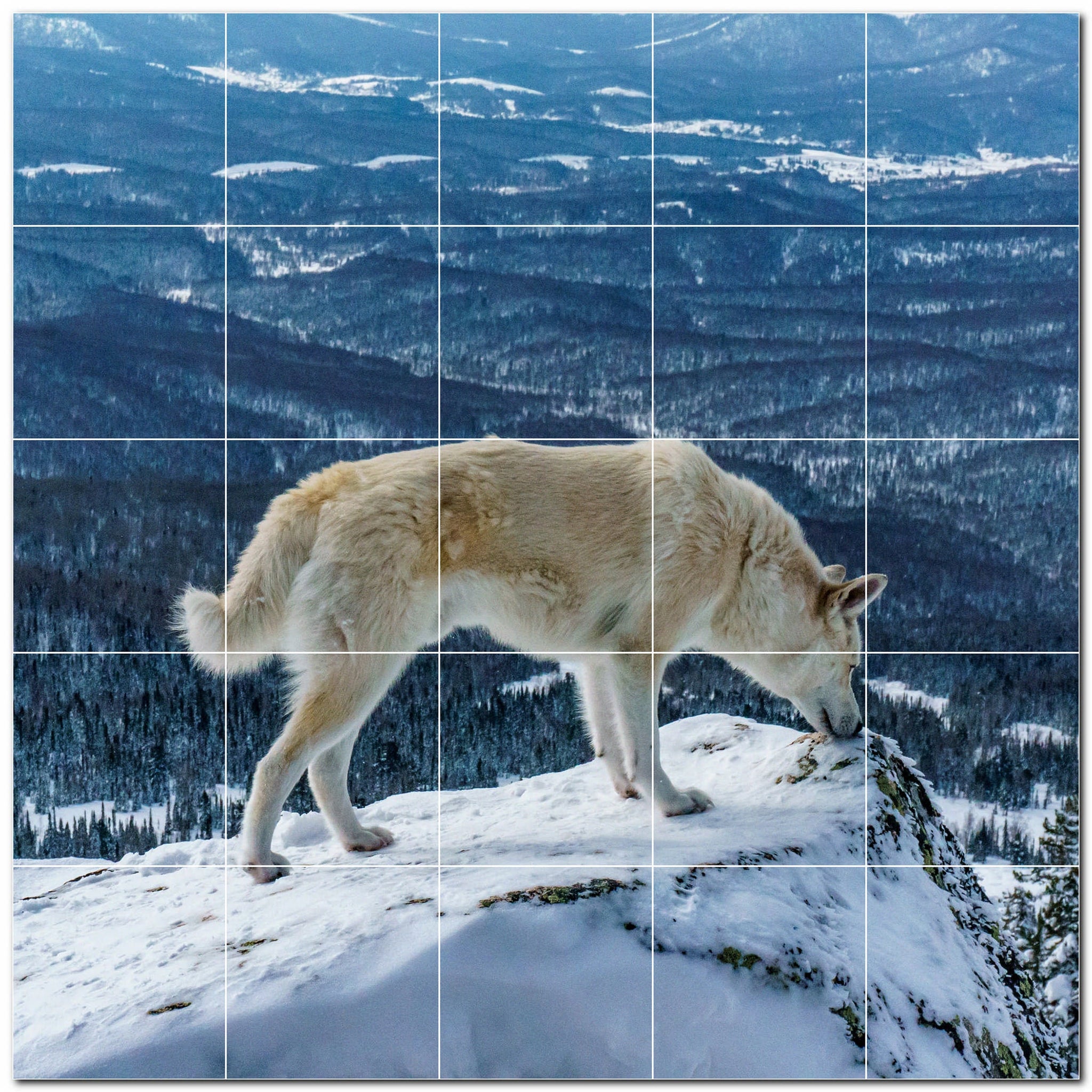 Wolf Ceramic Tile Wall Mural Kitchen Backsplash Bathroom Shower P501243