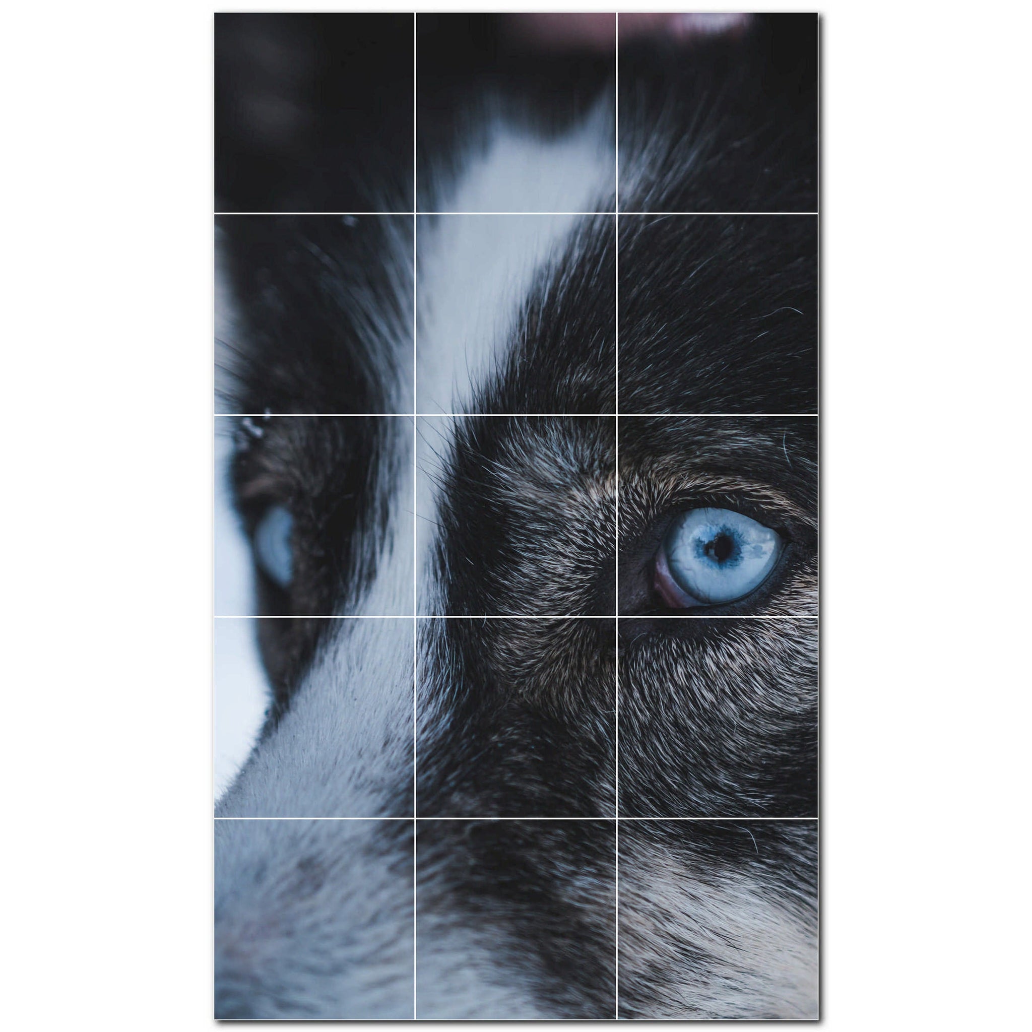 Wolf Ceramic Tile Wall Mural Kitchen Backsplash Bathroom Shower P501245