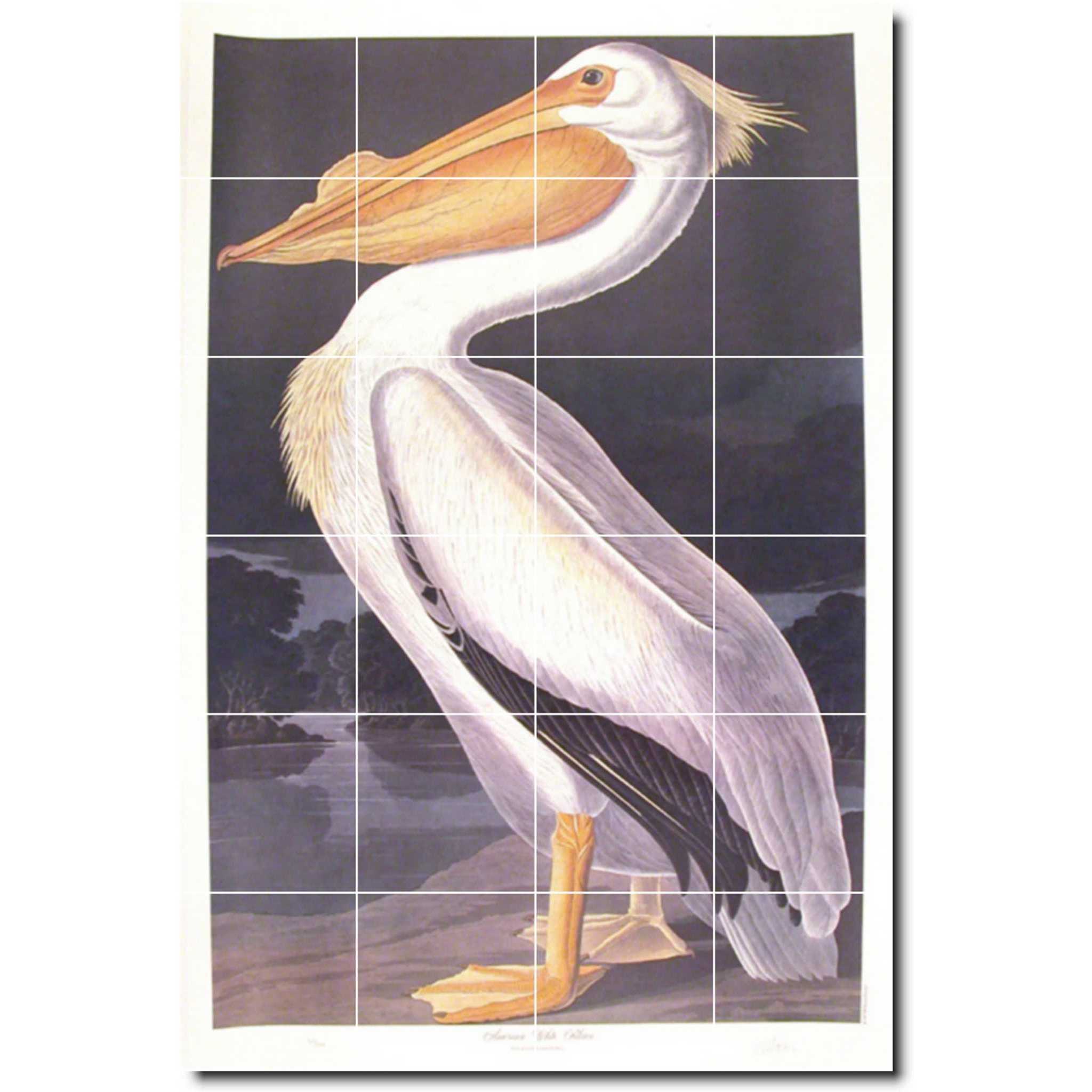 john audubon bird painting ceramic tile mural p00287
