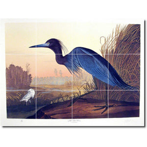 john audubon bird painting ceramic tile mural p00289