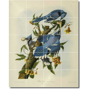 john audubon bird painting ceramic tile mural p00290