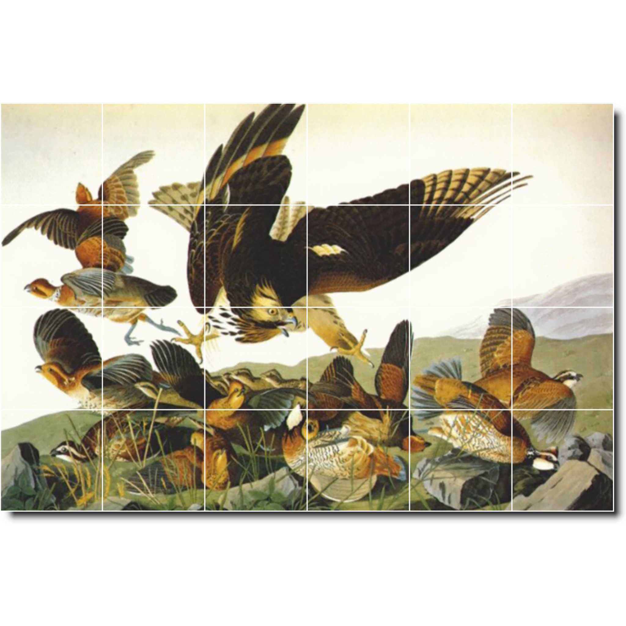 john audubon bird painting ceramic tile mural p00291