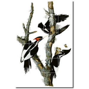 john audubon bird painting ceramic tile mural p00292