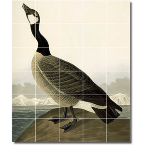 john audubon bird painting ceramic tile mural p00293