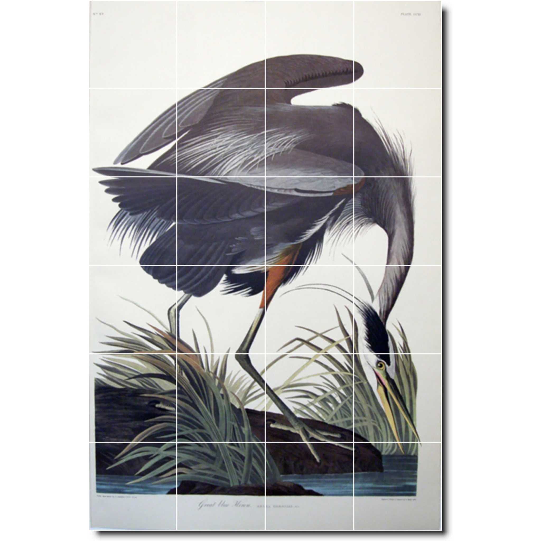 john audubon bird painting ceramic tile mural p00297