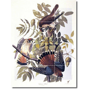 john audubon bird painting ceramic tile mural p00302