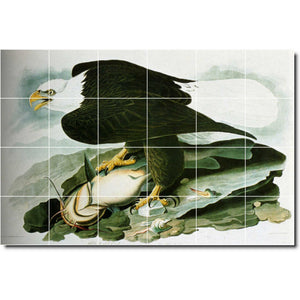 john audubon bird painting ceramic tile mural p00303