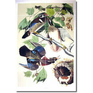 john audubon bird painting ceramic tile mural p00307
